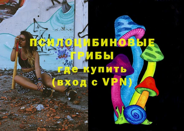 не бодяженный Алексин