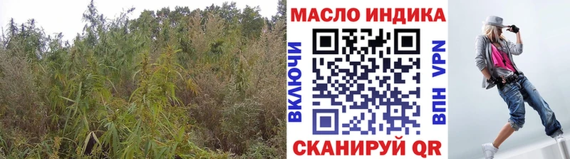 Дистиллят ТГК гашишное масло  Кувшиново 